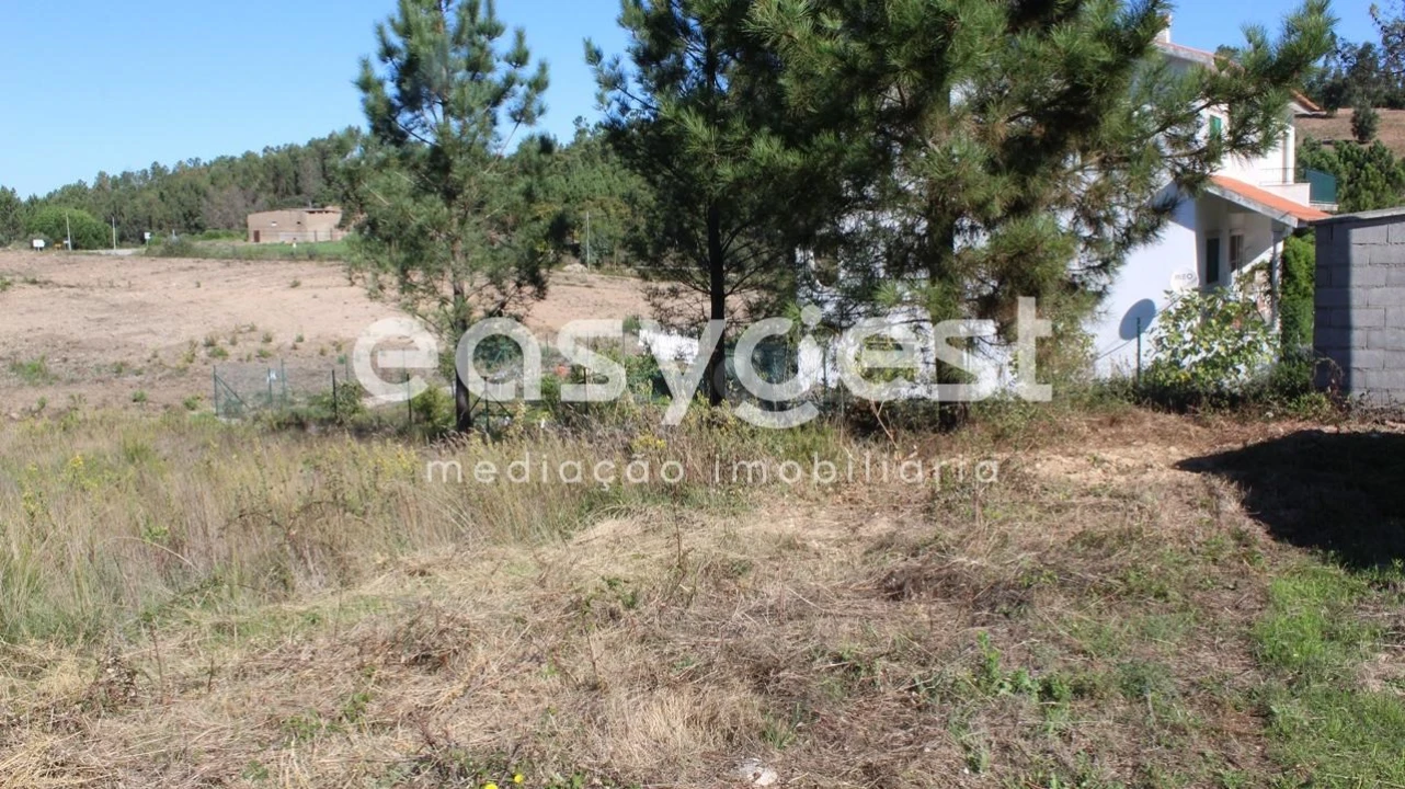 Terreno para Venda em Serra e Junceira Foto 5