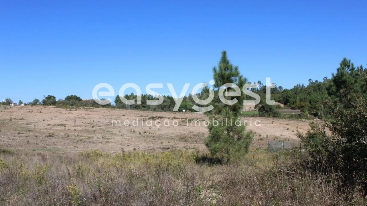 Terreno para Venda em Serra e Junceira Foto 7