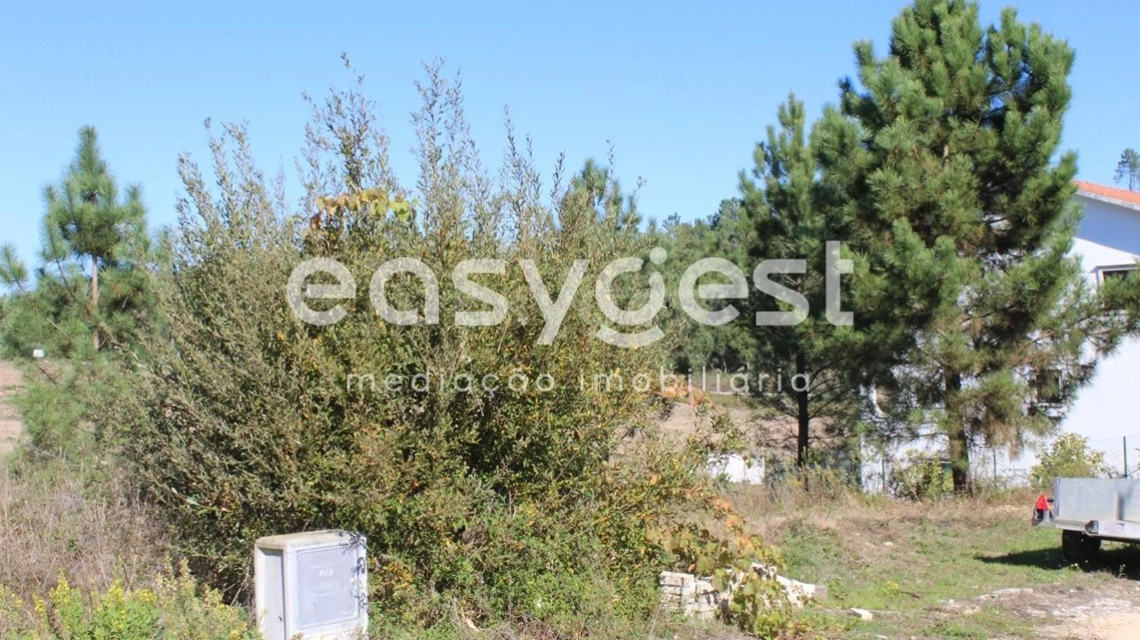 Terreno para Venda em Serra e Junceira Foto 8