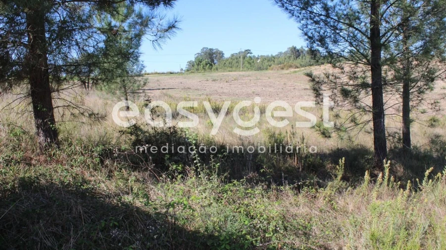 Terreno para Venda em Serra e Junceira