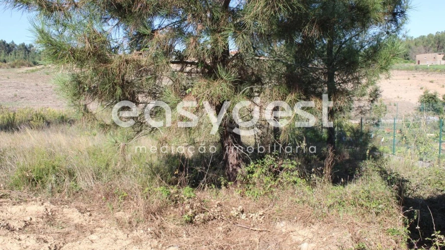 Terreno para Venda em Serra e Junceira Foto 3