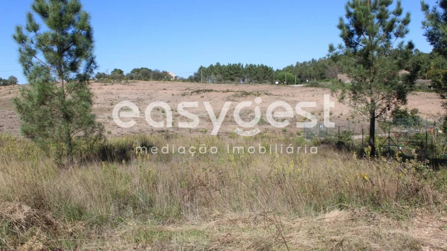 Terreno para Venda em Serra e Junceira Foto 4