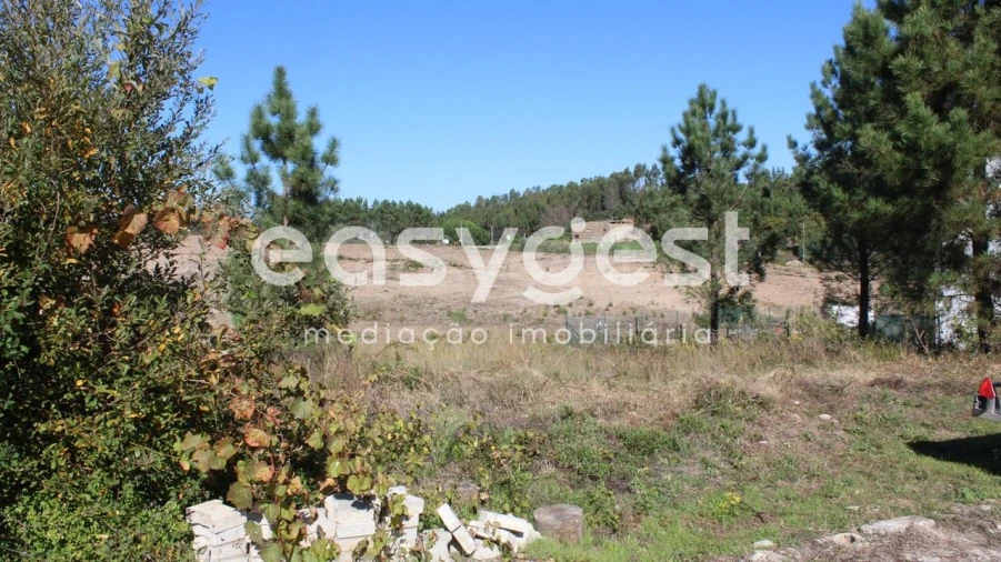 Terreno para Venda em Serra e Junceira Foto 6