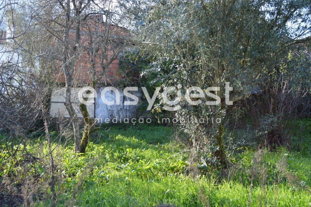 Moradia T4 para Venda em Sardoal Foto 9