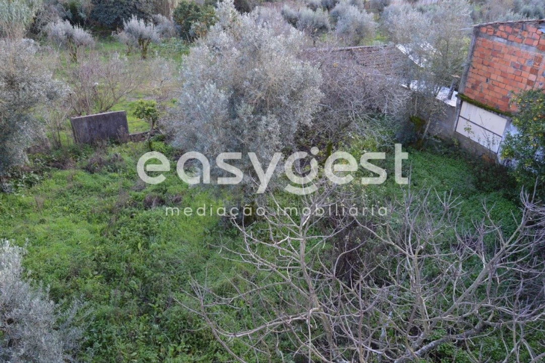 Moradia T4 para Venda em Sardoal Foto 17