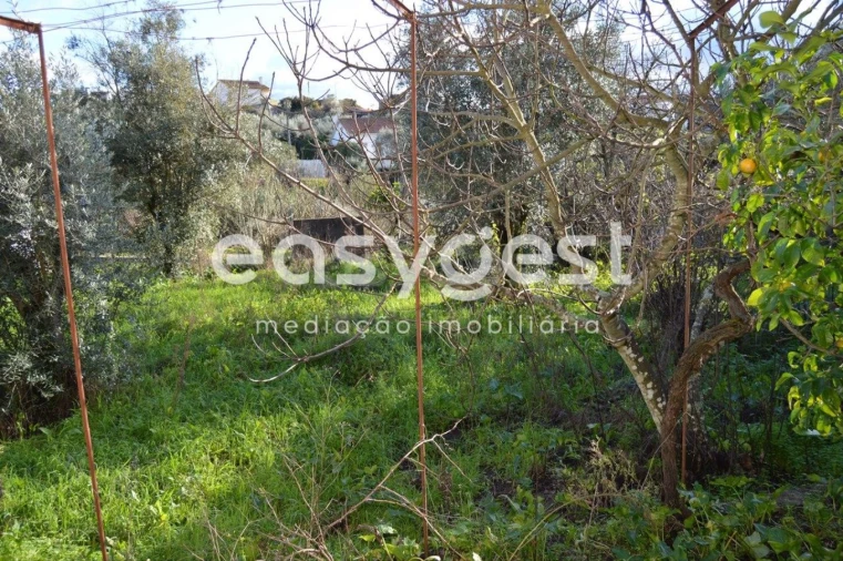 Moradia T4 para Venda em Sardoal Foto 7