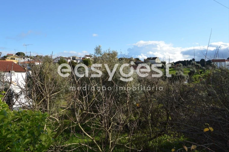 Moradia T4 para Venda em Sardoal Foto 21