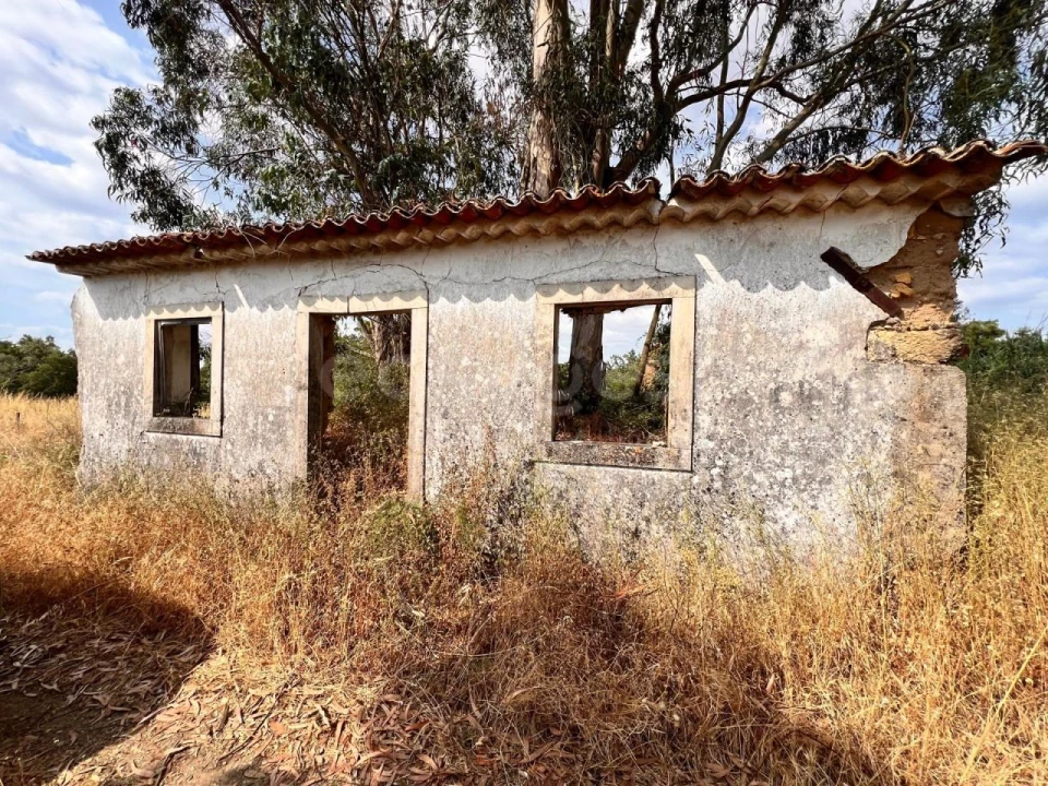 Moradia T3 para Venda em São Pedro de Tomar Foto 1