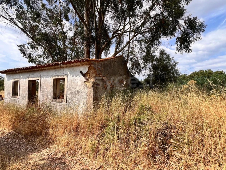 Moradia T3 para Venda em São Pedro de Tomar Foto 4