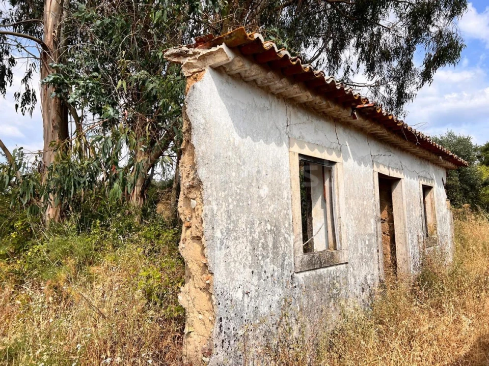 Moradia T3 para Venda em São Pedro de Tomar Foto 9