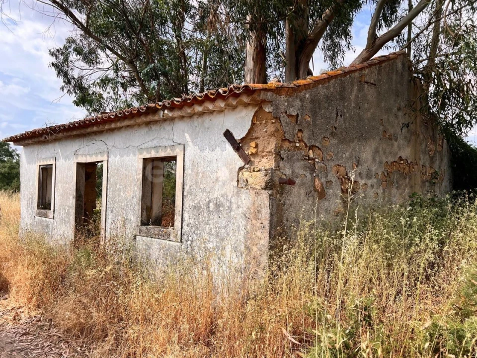 Moradia T3 para Venda em São Pedro de Tomar Foto 10