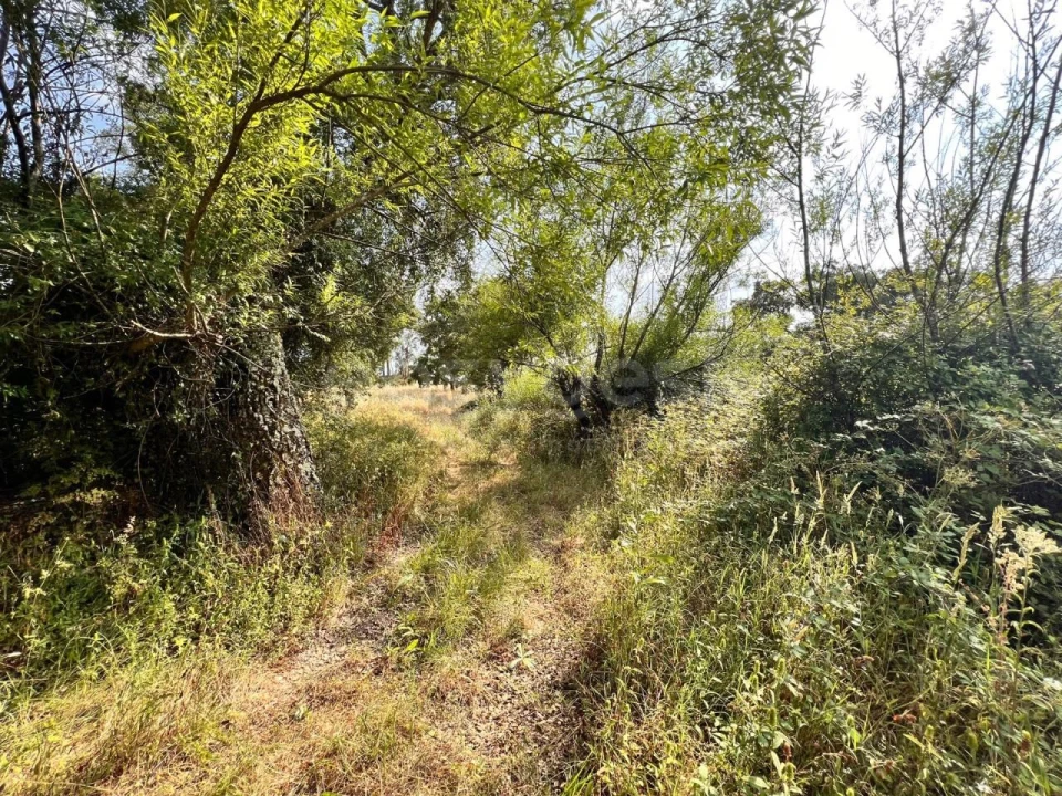 Moradia T3 para Venda em São Pedro de Tomar Foto 27
