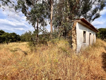 Moradia T3 para Venda em São Pedro de Tomar