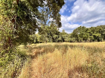 Moradia T3 para Venda em São Pedro de Tomar