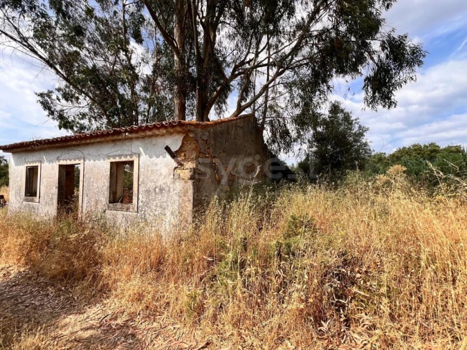 Moradia T3 para Venda em São Pedro de Tomar Foto 4