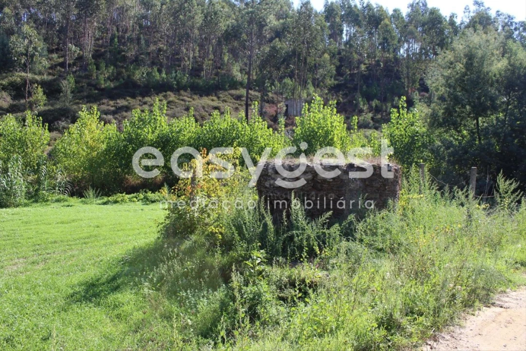 Quinta T3 para Venda em Aguas Belas Foto 9