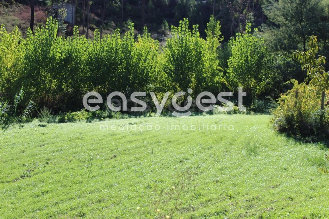 Quinta T3 para Venda em Aguas Belas Foto 25