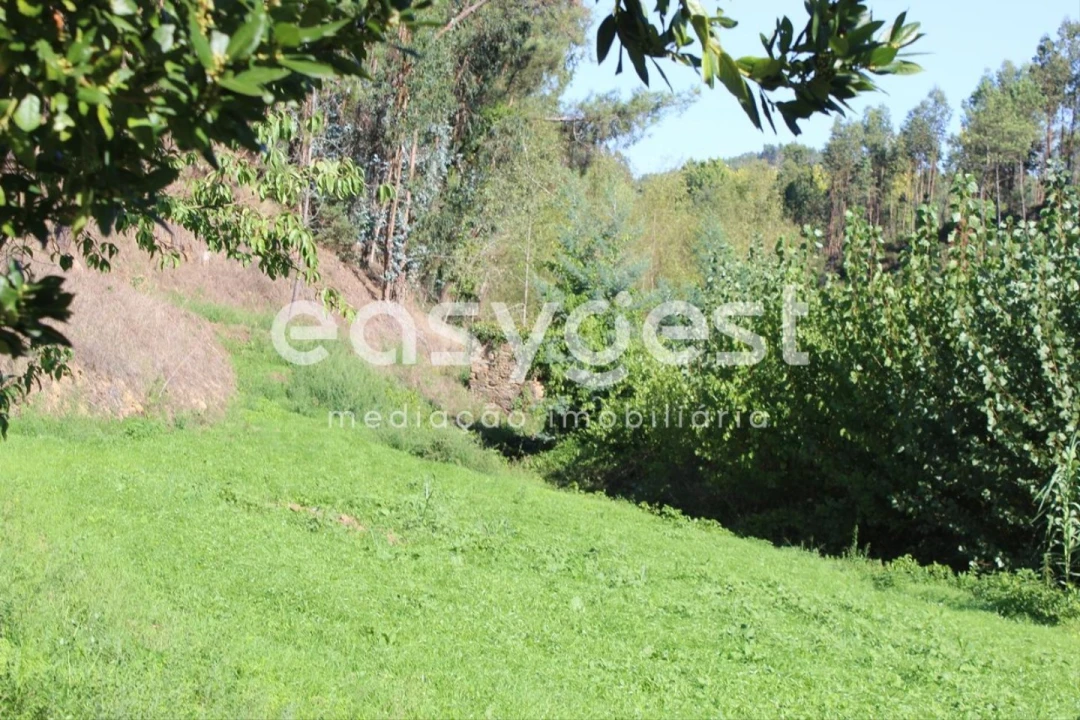 Quinta T3 para Venda em Aguas Belas Foto 26