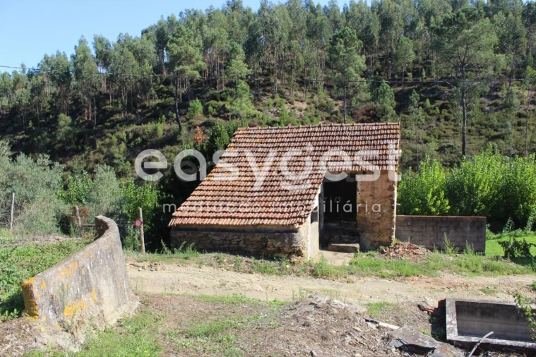 Quinta T3 para Venda em Aguas Belas Foto 5