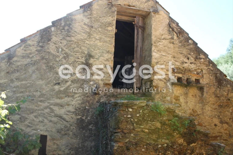 Quinta T3 para Venda em Aguas Belas Foto 8