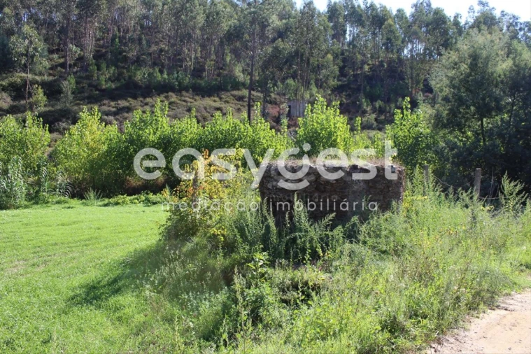 Quinta T3 para Venda em Aguas Belas Foto 9