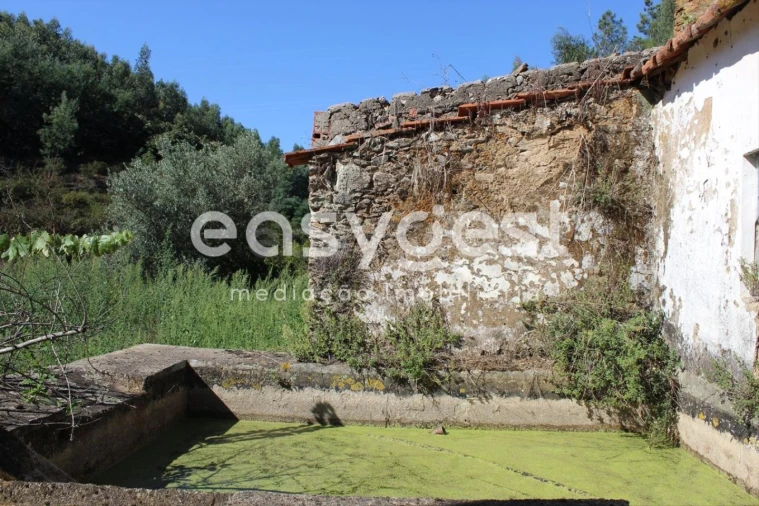 Quinta T3 para Venda em Aguas Belas Foto 21