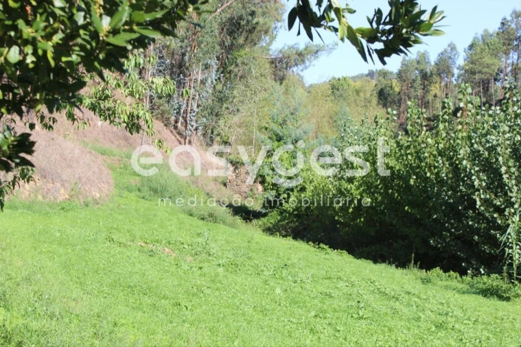 Quinta T3 para Venda em Aguas Belas Foto 26