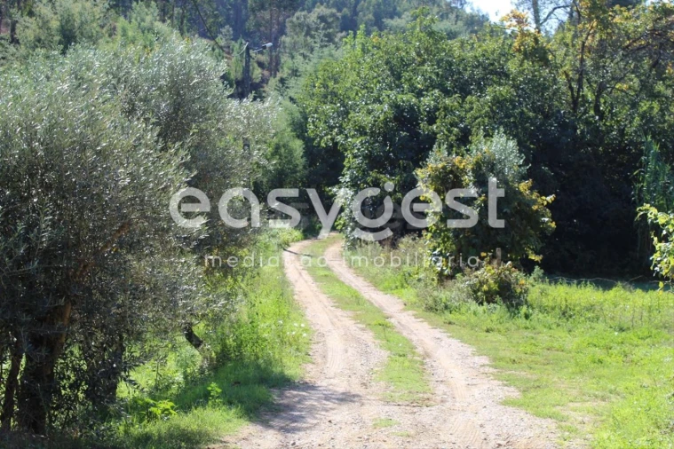 Quinta T3 para Venda em Aguas Belas Foto 27