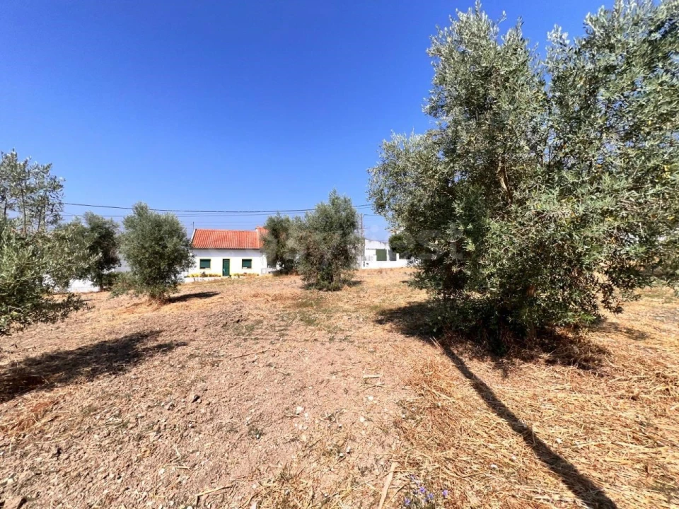 Terreno para Venda em Olaia e Paço Foto 7