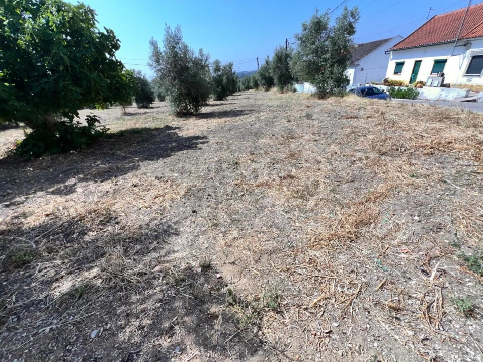 Terreno para Venda em Olaia e Paço Foto 8