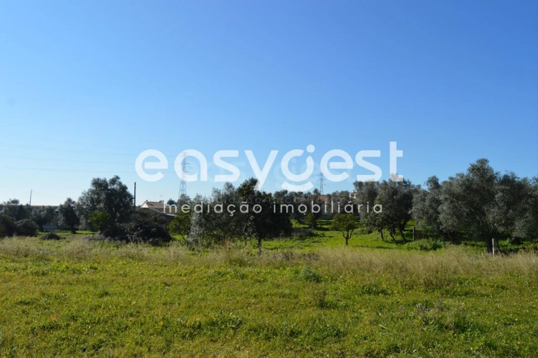 Terreno para Venda em Meia Via Foto 7