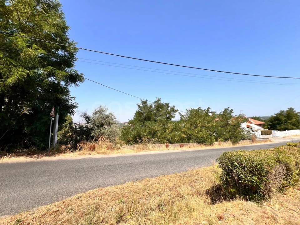 Terreno para Venda em Abrantes (São Vicente e São João) e Alferrarede Foto 2