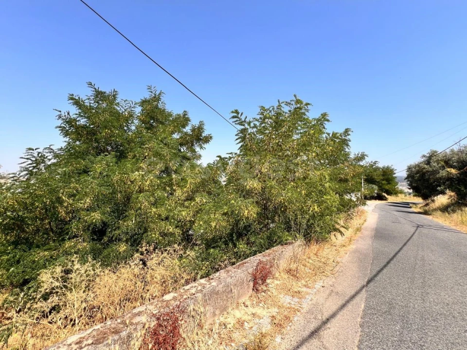 Terreno para Venda em Abrantes (São Vicente e São João) e Alferrarede Foto 11