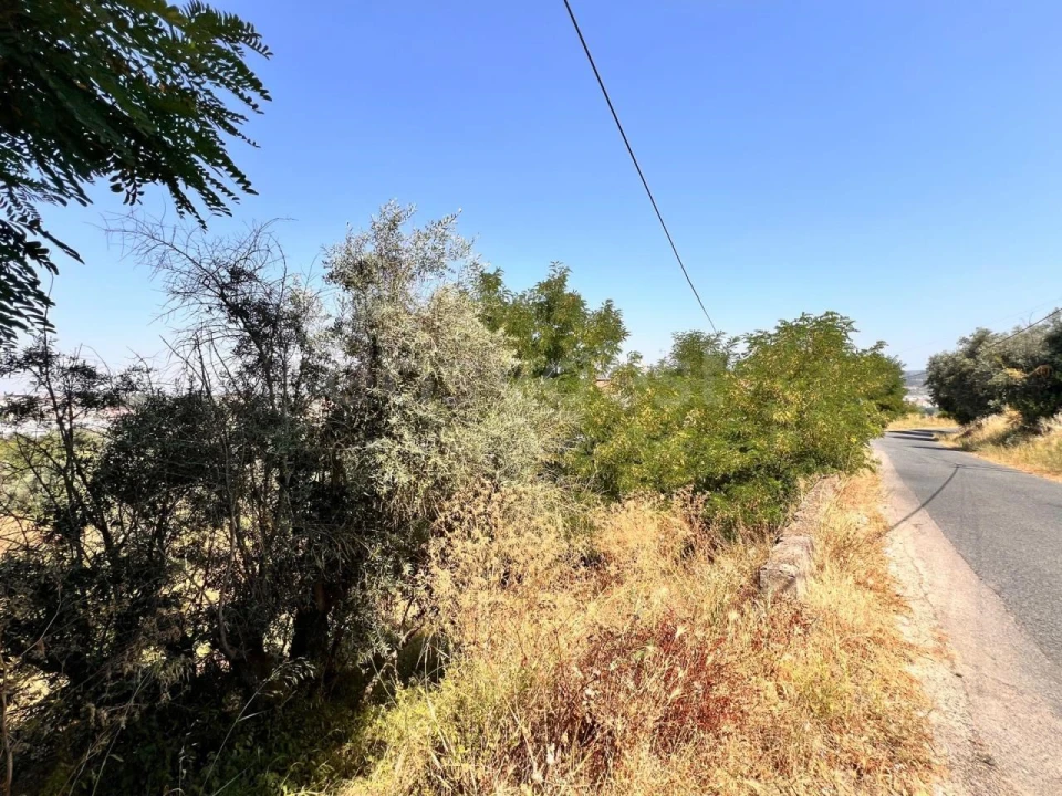 Terreno para Venda em Abrantes (São Vicente e São João) e Alferrarede Foto 12