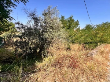 Terreno para Venda em Abrantes (São Vicente e São João) e Alferrarede