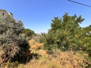 Terreno para Venda em Abrantes (São Vicente e São João) e Alferrarede
