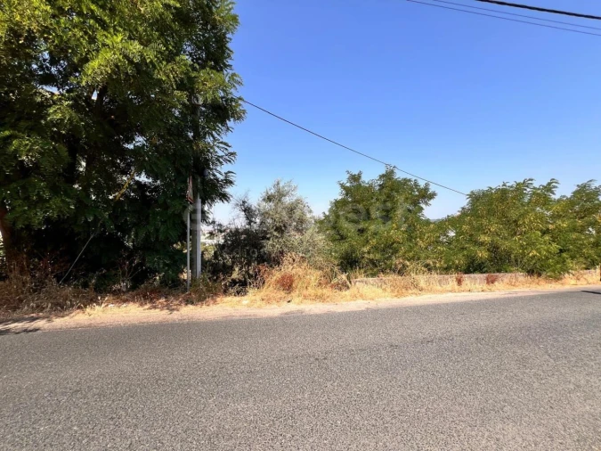 Terreno para Venda em Abrantes (São Vicente e São João) e Alferrarede Foto 6
