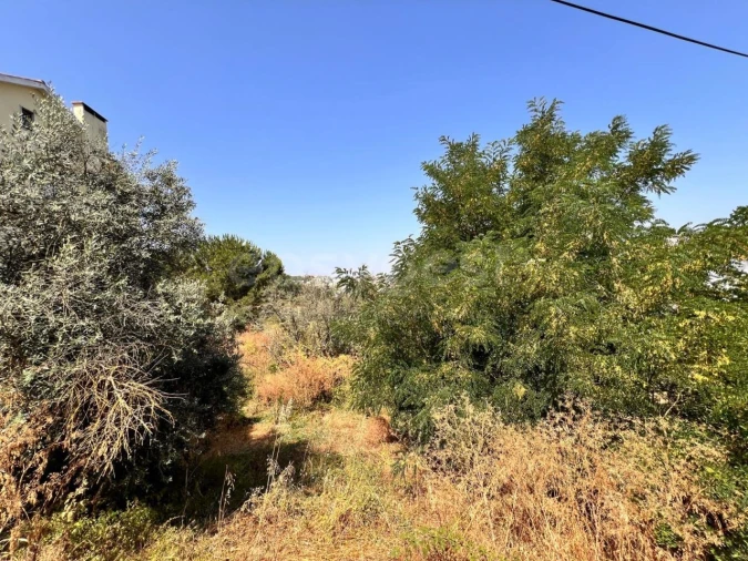 Terreno para Venda em Abrantes (São Vicente e São João) e Alferrarede Foto 10