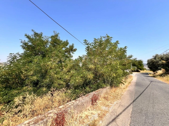 Terreno para Venda em Abrantes (São Vicente e São João) e Alferrarede Foto 11