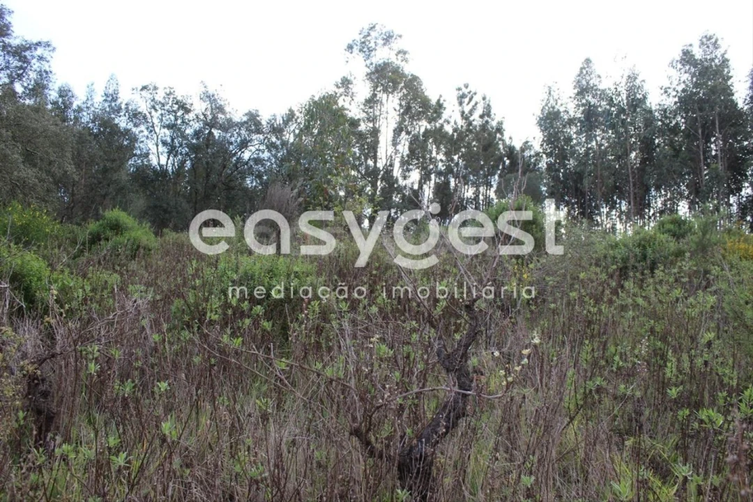 Terreno para Venda em Olalhas Foto 13