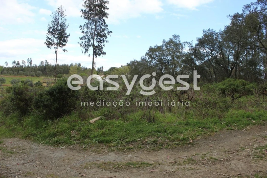 Terreno para Venda em Olalhas Foto 18