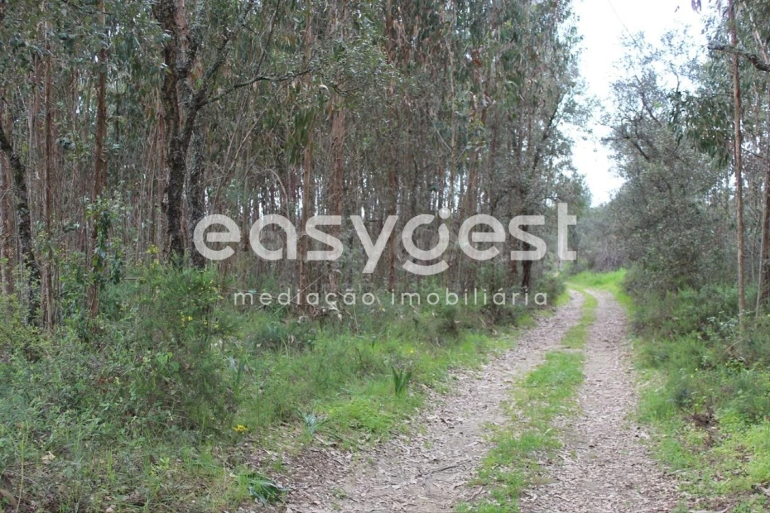 Terreno para Venda em Olalhas Foto 19