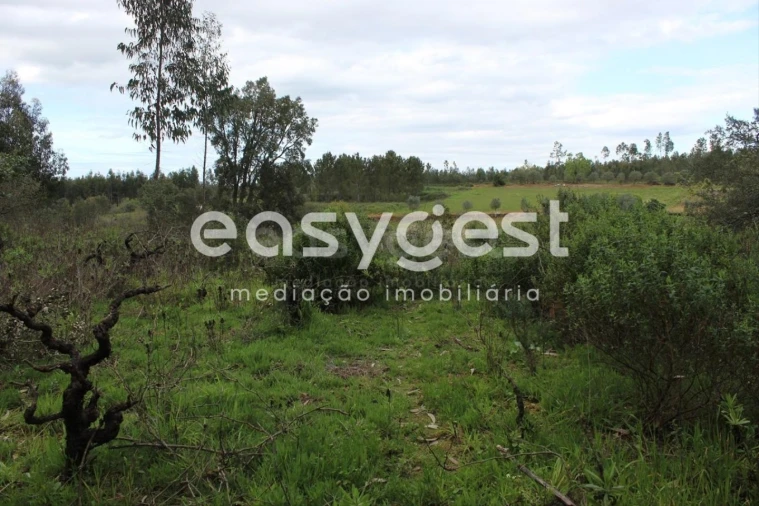 Terreno para Venda em Olalhas Foto 6