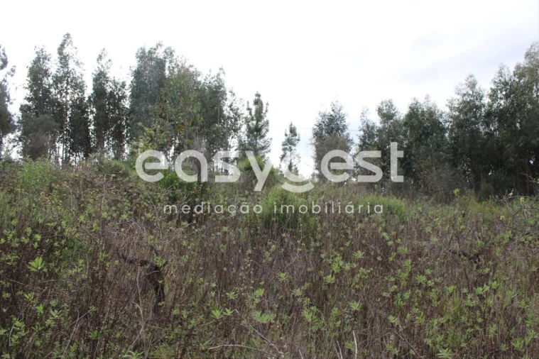 Terreno para Venda em Olalhas Foto 15