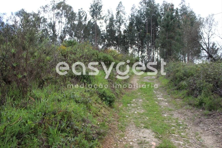 Terreno para Venda em Olalhas Foto 16