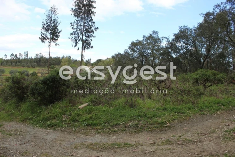 Terreno para Venda em Olalhas Foto 18