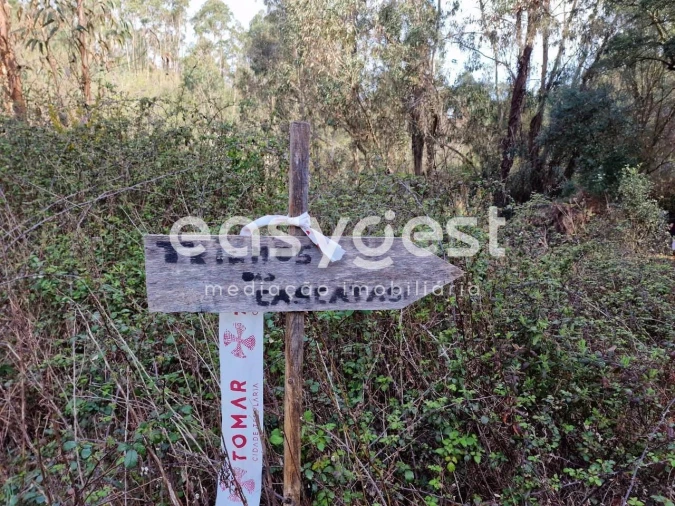 Terreno para Venda em Olalhas Foto 20