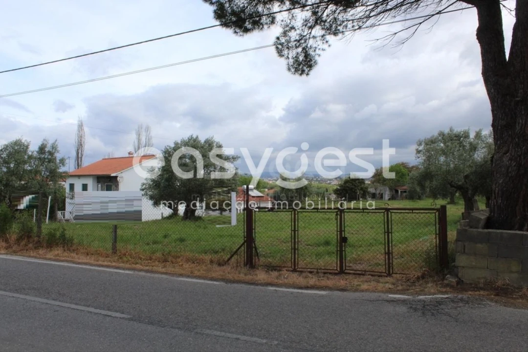 Terreno para Venda em São João Baptista e Santa Maria dos Olivais Foto 2