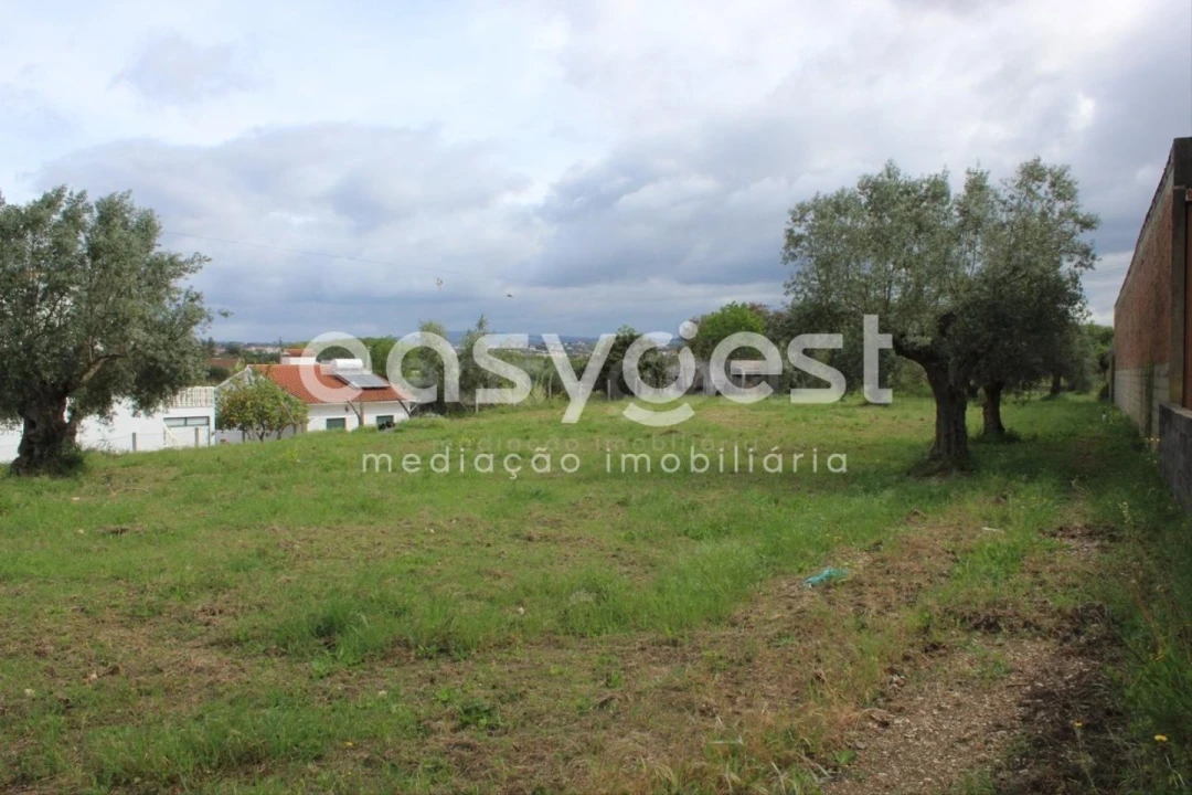 Terreno para Venda em São João Baptista e Santa Maria dos Olivais Foto 3