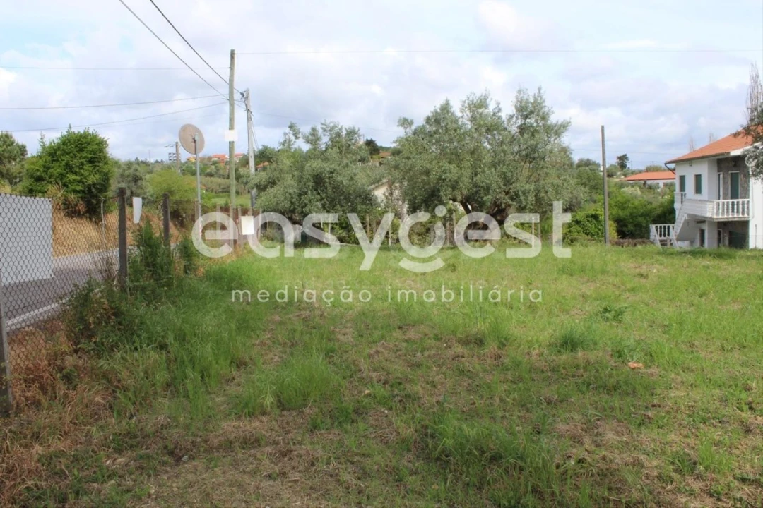 Terreno para Venda em São João Baptista e Santa Maria dos Olivais Foto 4